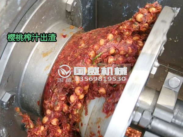 国盛樱桃螺旋压榨脱水机 国盛樱桃螺旋压榨脱水机